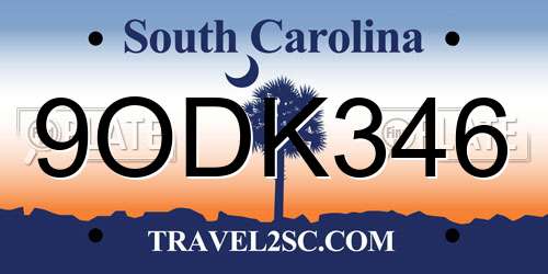 9ODK346 South Carolina License Plate