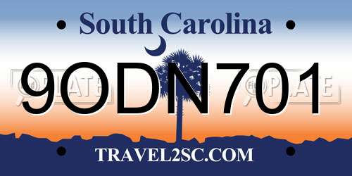 9ODN701 South Carolina License Plate