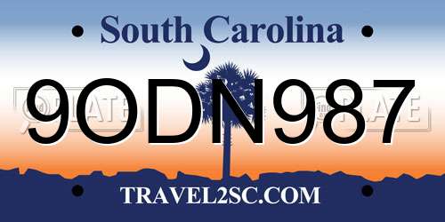 9ODN987 South Carolina License Plate