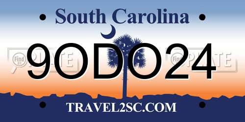 9ODO24 South Carolina License Plate