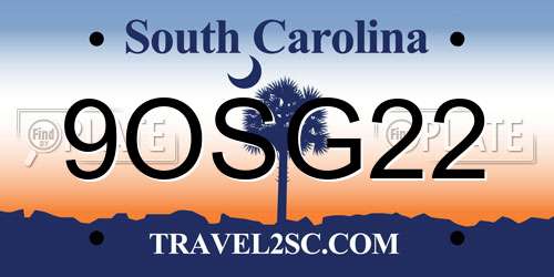 9OSG22 South Carolina License Plate