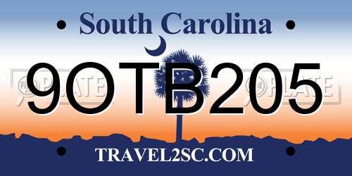 9OTB205 South Carolina License Plate
