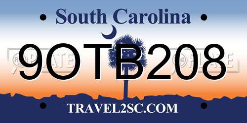 9OTB208 South Carolina License Plate