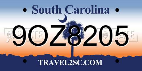9OZ8205 South Carolina License Plate