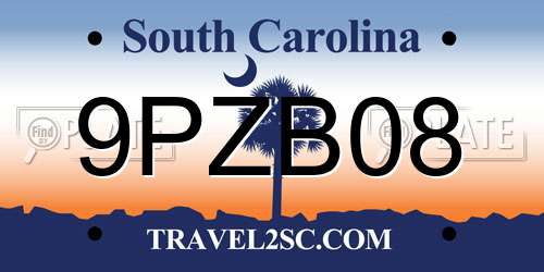 9PZB08 South Carolina License Plate