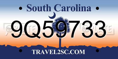 9Q59733 South Carolina License Plate
