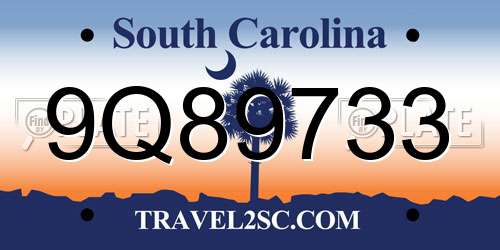 9Q89733 South Carolina License Plate