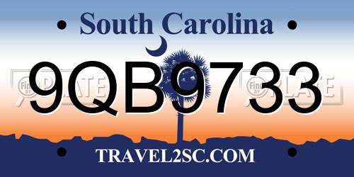 9QB9733 South Carolina License Plate