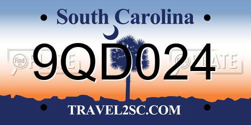9QD024 South Carolina License Plate