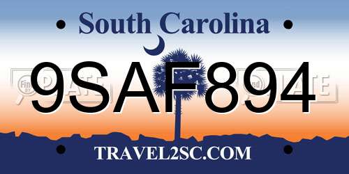 9SAF894 South Carolina License Plate