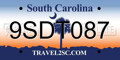9SDT087 South Carolina License Plate