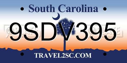 9SDV395 South Carolina License Plate