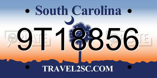 9T18856 South Carolina License Plate