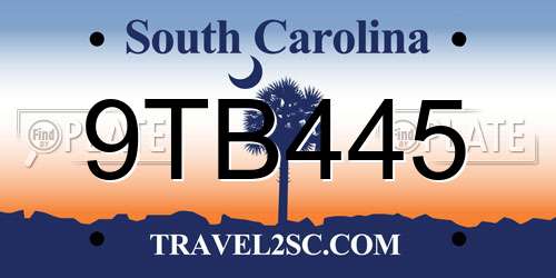 9TB445 South Carolina License Plate