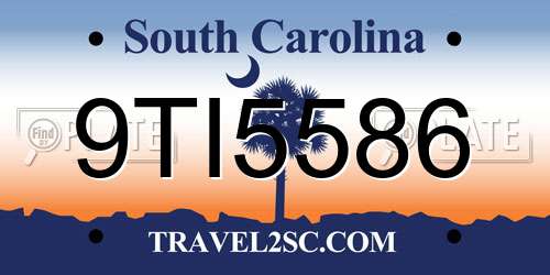 9TI5586 South Carolina License Plate