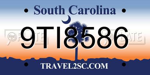 9TI8586 South Carolina License Plate