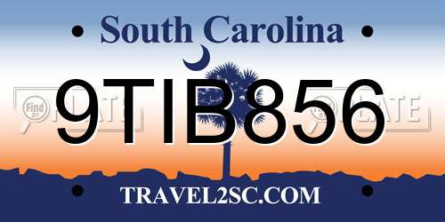 9TIB856 South Carolina License Plate