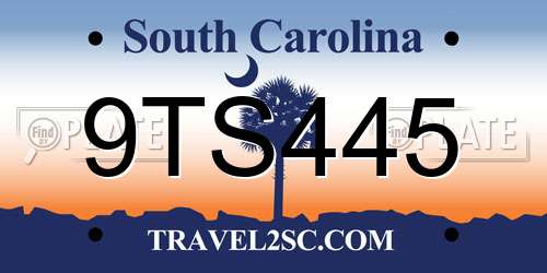 9TS445 South Carolina License Plate
