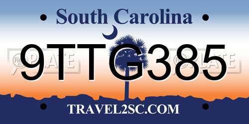 9TTG385 South Carolina License Plate