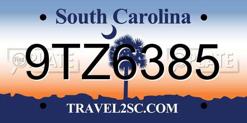 9TZ6385 South Carolina License Plate