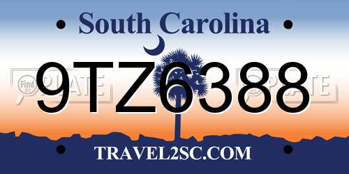 9TZ6388 South Carolina License Plate