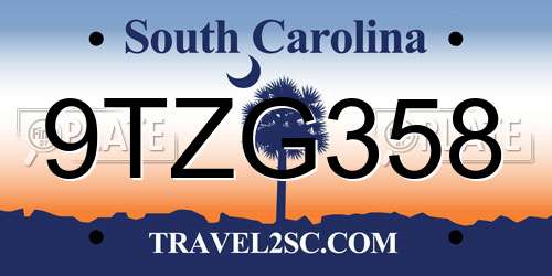 9TZG358 South Carolina License Plate