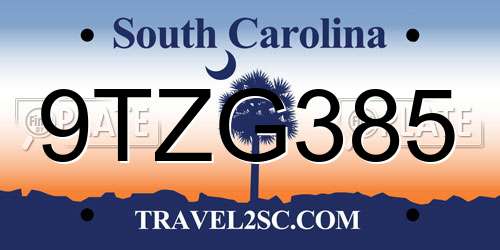 9TZG385 South Carolina License Plate