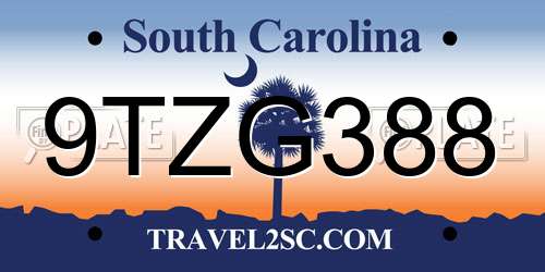 9TZG388 South Carolina License Plate