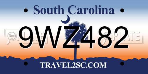 9WZ482 South Carolina License Plate