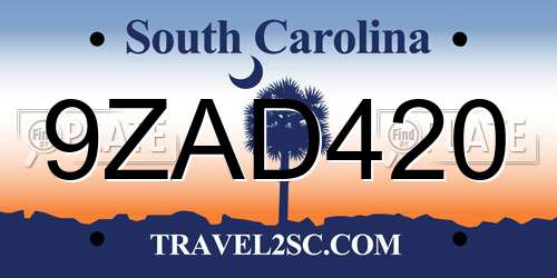 9ZAD420 South Carolina License Plate