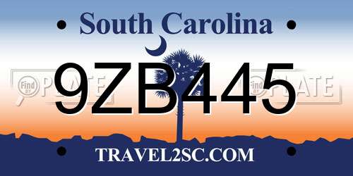9ZB445 South Carolina License Plate