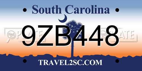 9ZB448 South Carolina License Plate