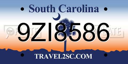 9ZI8586 South Carolina License Plate