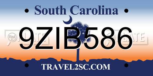 9ZIB586 South Carolina License Plate