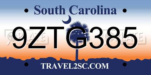 9ZTG385 South Carolina License Plate