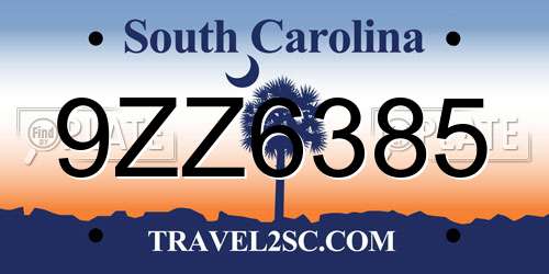 9ZZ6385 South Carolina License Plate