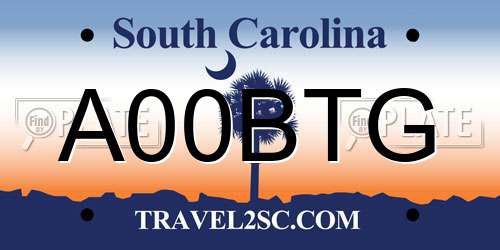 A00BTG South Carolina License Plate