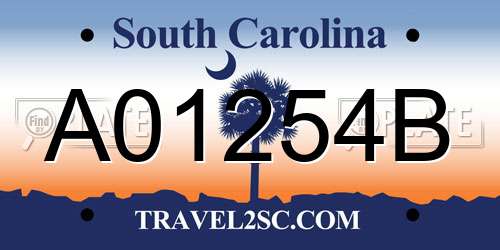 A01254B South Carolina License Plate
