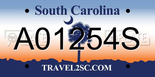 A01254S South Carolina License Plate