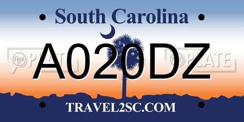 A020DZ South Carolina License Plate