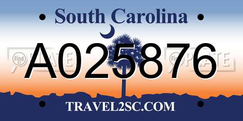 A025876 South Carolina License Plate