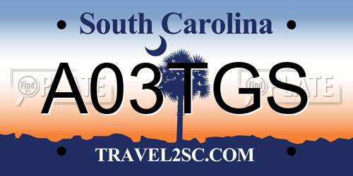 A03TGS South Carolina License Plate