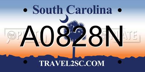 A0828N South Carolina License Plate