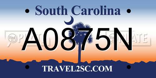 A0875N South Carolina License Plate