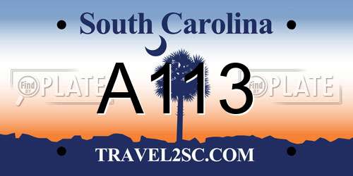 A113 South Carolina License Plate