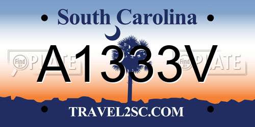 A1333V South Carolina License Plate