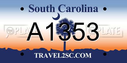 A1353 South Carolina License Plate