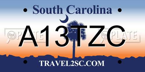 A13TZC South Carolina License Plate