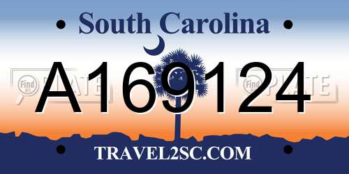 A169124 South Carolina License Plate