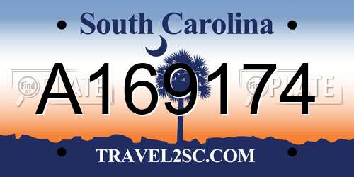 A169174 South Carolina License Plate